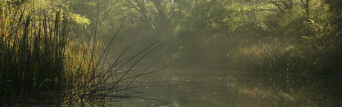 Traves�a en Kayak por el Delta del Tigre