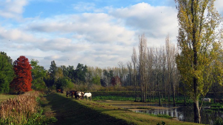 Bonanza, Deltaventura