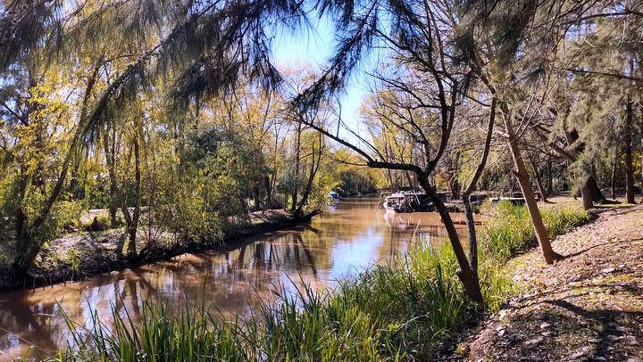 Caba�as en el Delta del Tigre - Todo el A�o!!